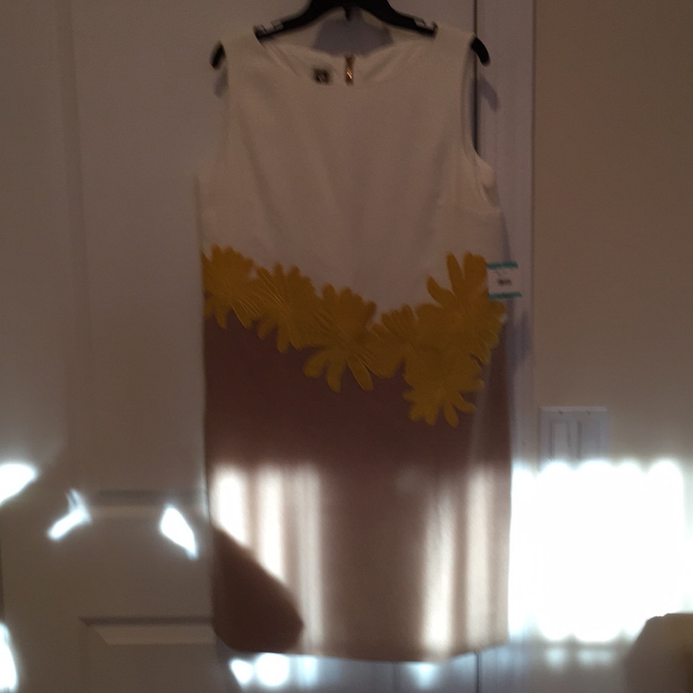 Brand new with tags Anne Klein sleeveless.